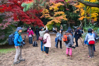 Autumn Photography at Volo Bog